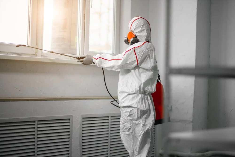 Professional mold remediation services in S Coffeyville, OK